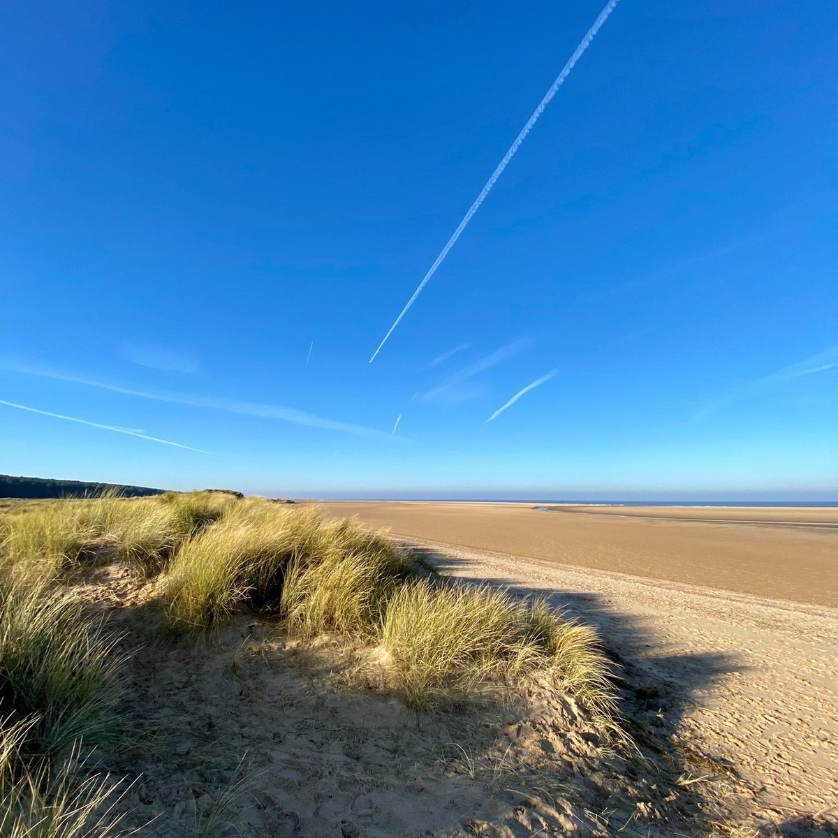 HolkhamEstate's tweet photo. Those sunny days ☀️

📷 Laura Booth https://t.co/6M7abPMKnU