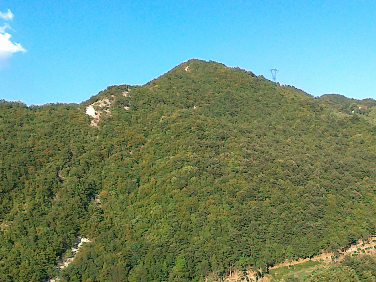 Maria Luisa tweet media