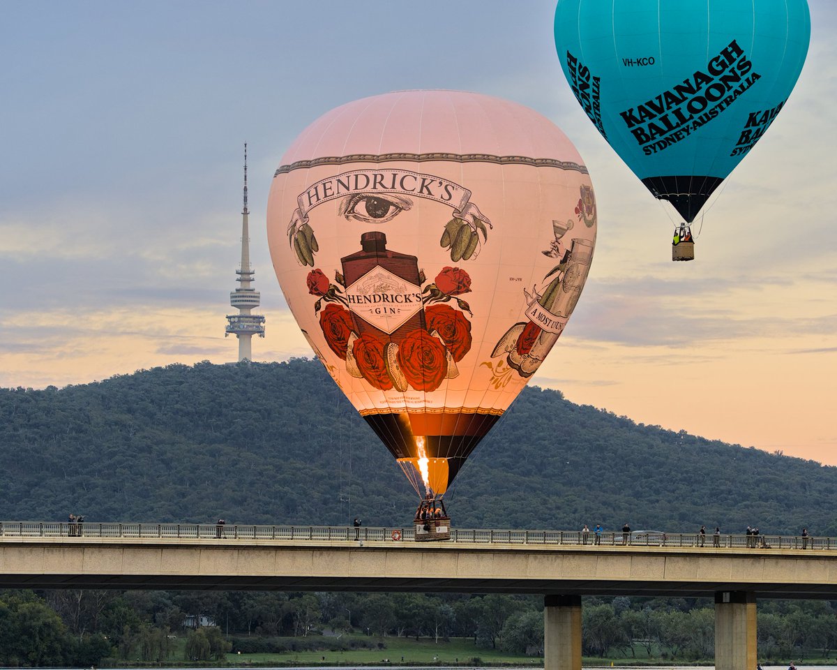 Day two of the Canberra balloon festival.

#canberra #Canberraballoonspectacular #BalloonSpectacular