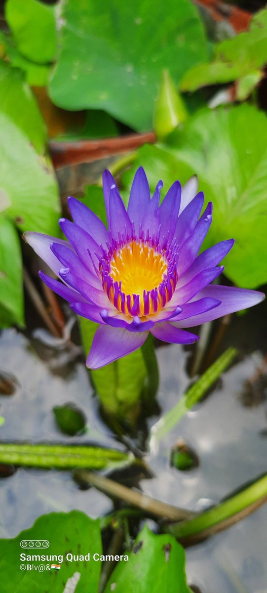 BivasMaiti3's tweet photo. @BlankBitas @BivasMaiti https://t.co/VJWnRJU5qq