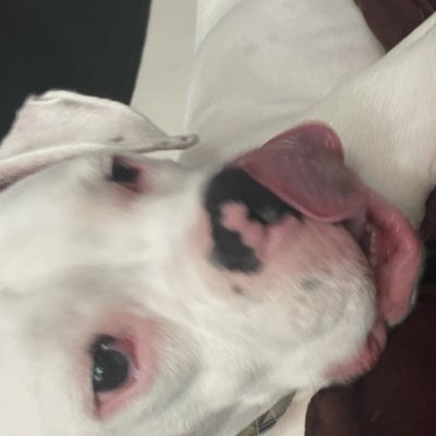 laurvana_'s tweet photo. #NewProfilePic https://t.co/5SqKjvQW76