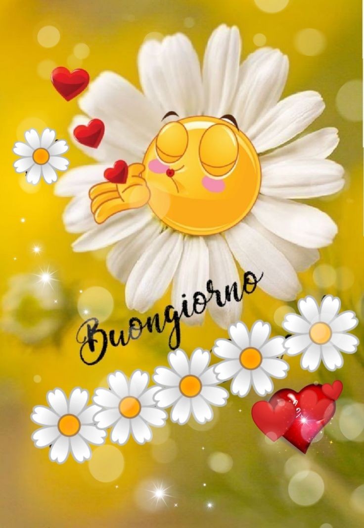 Maria Luisa tweet media