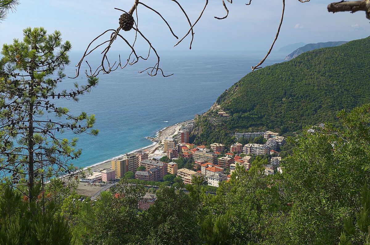 Anitasamp 🇮🇹🏴🇮🇹 tweet media