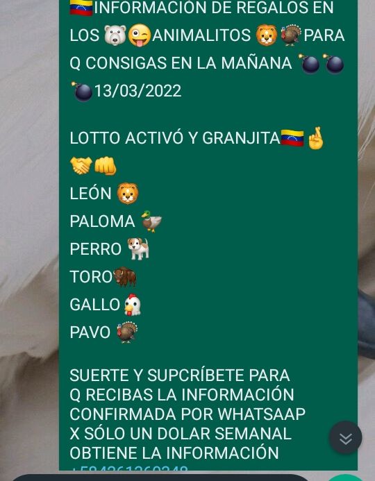 Franklinizzio's tweet photo. @AGENCIAKOKONELL
@DEnmascarado
@ARodriguezVera
@almadelhipismo 
@m_estiben 
@Angel17561 
@CaribePalma
@enriquegonzal84
@jeanmaire280285 
@EvonySolorzano
@thekingnba1980
@marrpacheco
@radiohipico1
@ELLOCOHIPICO2 https://t.co/jmp6oimqJg