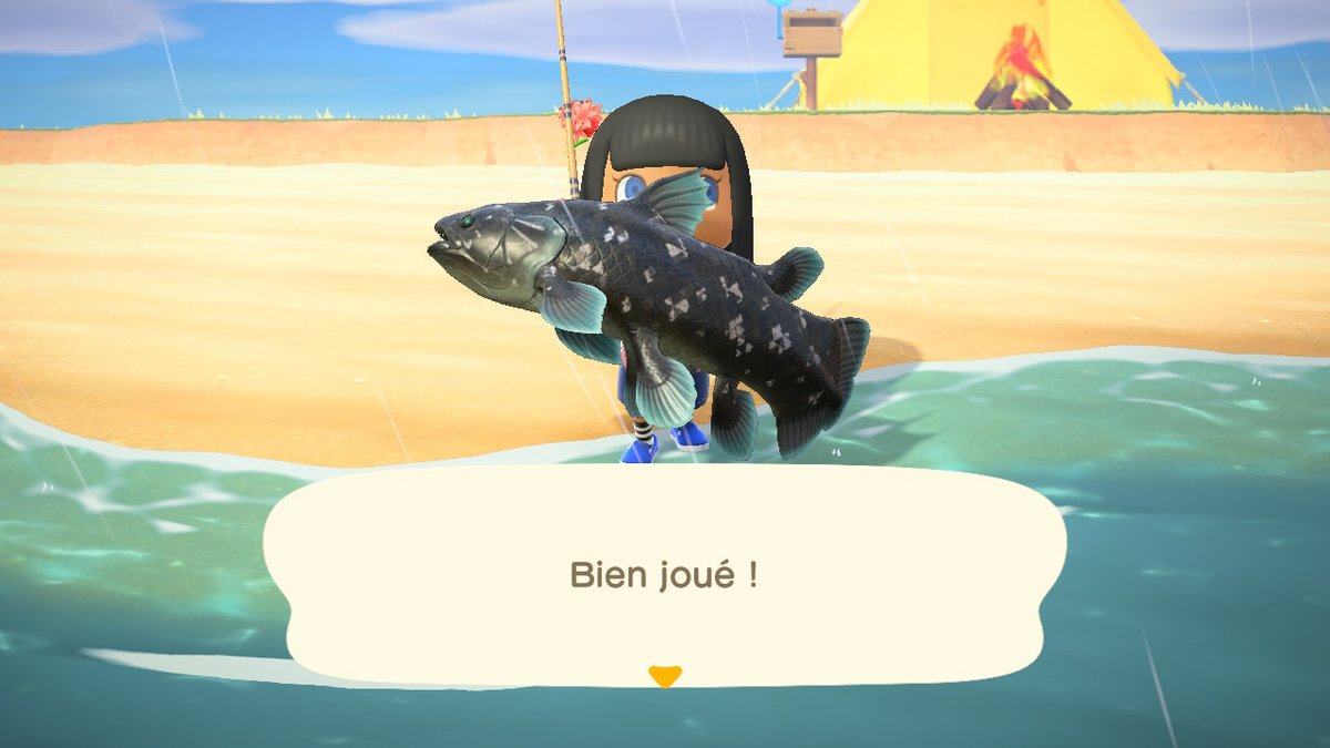 SPapyyrus's tweet image. #AnimalCrossing #ACNH #NintendoSwitch Bien joué !