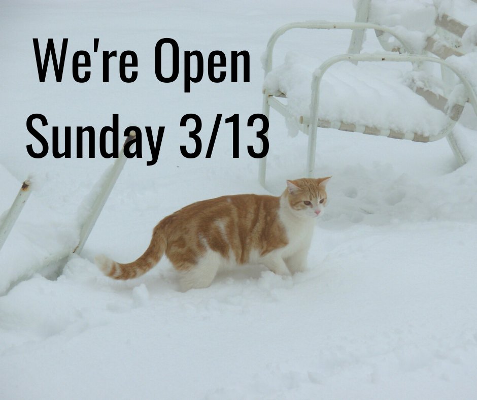 FabbioliWines's tweet photo. Sunday, March 13th, We're Open 11am-5pm. Stay Safe! https://t.co/Qvpobho6xJ