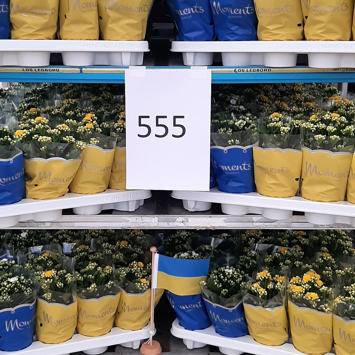 Slijkermankalan's tweet photo. Next Monday, Royal FloraHolland is organizing a fundraiser for Giro555. We have made a special Ukraine mix which will be available at the auctions in Aalsmeer and Naaldwijk. The entire revenue of this will benefit Giro555 for Ukraine. Be generous
#giro555 #Ukraine #Oekraïne https://t.co/sGCrgNZ3hg