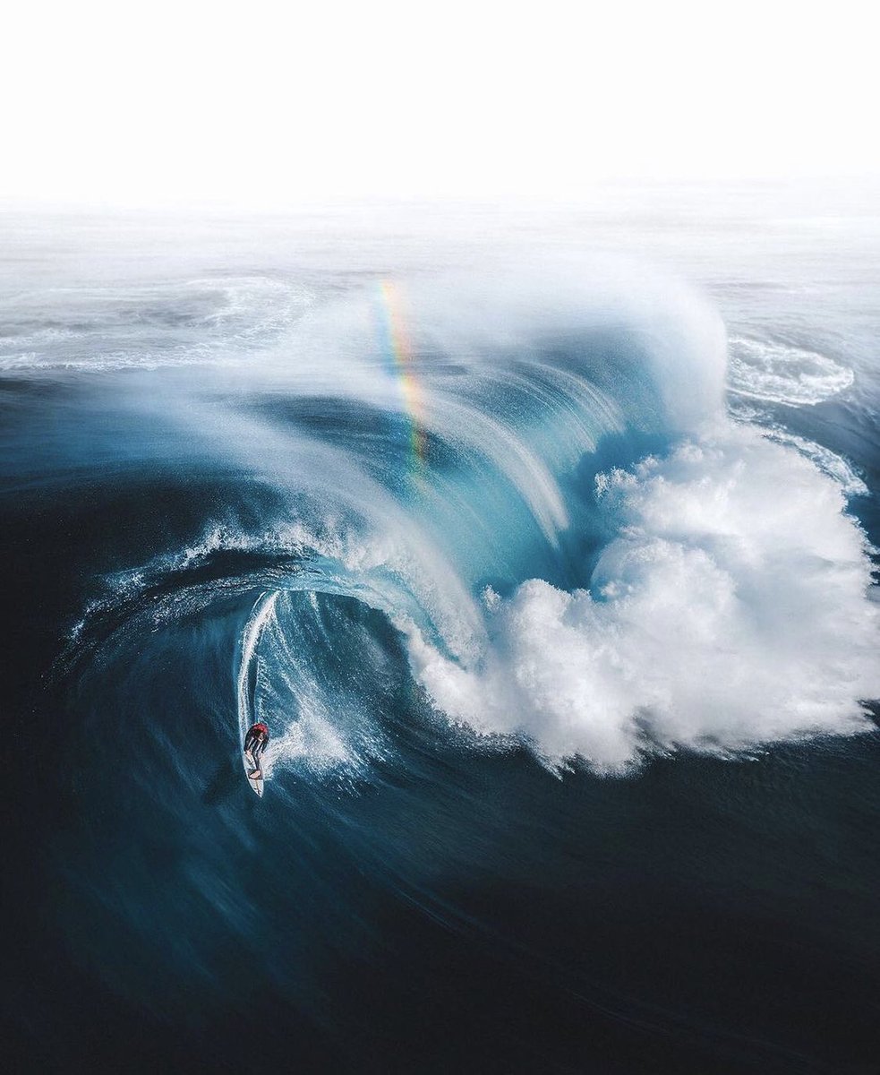 <a href="/newlightvisuals/">NLV</a> <a href="/thesunniesnft/">the sunnies 🌞</a> <a href="/Timmboslice_/">Timmboslice.eth 🇦🇺🌊💎</a> <a href="/MerrWatson/">Merr Watson</a> <a href="/itsdavesdrone/">Dave - itsdavesdrone</a> <a href="/realflyingkiwi/">Pete</a> <a href="/jloiterton/">Jess 🌈</a> <a href="/benmack_/">Ben Mack</a> <a href="/sandrinevisuals/">Sandrine Hecq</a> <a href="/_courtsjay/">Courts Jay ✨</a> <a href="/lolahubner_/">Lola Hubner</a> Cheers mate! Been meaning to join the Sunnies fam - lookin for the right blue fella!!