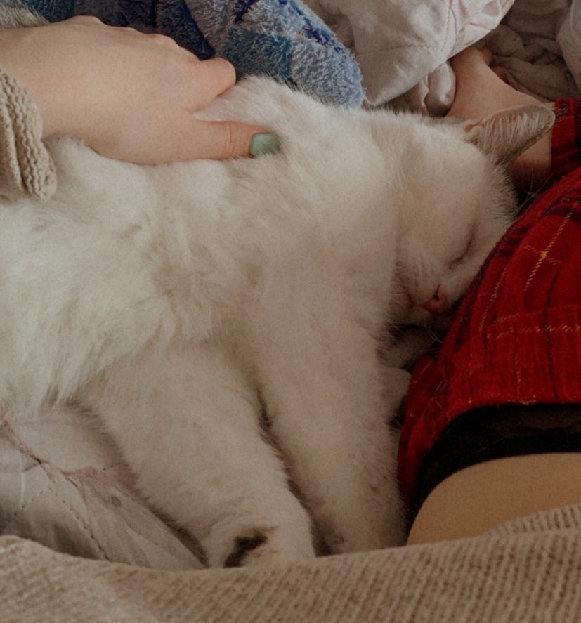 Мой выходной🍓❣️ 
🐈Потренила жепку, пресс, кардио 
🐈Погуляли и сходили в любимый ресторан
🐈 Домашние дела, отдых

Была тяжелая неделя, работала 3/1, очень вымоталась