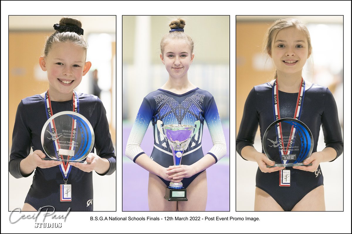 Cecil Paul Studios tweet media