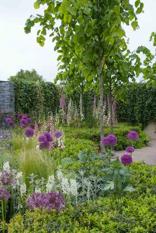 GroenVandaag's tweet photo. Tuinbranche Nederland signaleert drie #tuintrends voor 2022: Een Nieuw Begin, Licht & Luchtig, Traditioneel. De #trends hebben gemeenschappelijk dat in de #tuin volop aandacht is voor #klimaatbestendigheid en #biodiversiteit. https://t.co/r1KqKwEqB0 https://t.co/viGrD5gm1l