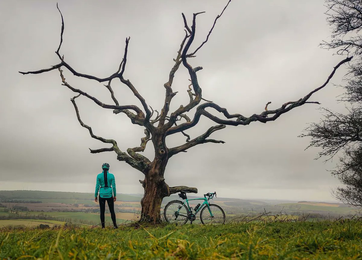 Sunday solo ride and moody #cycletography 📷🚴‍♀️🙂
.
#merceractive #mindfulness #mindfulnesscycle #aatr #wellbeing <a href="/ThePhotoHour/">#ThePhotoHour</a> <a href="/500px/">500px</a> #ukcyclechat #bianchi
