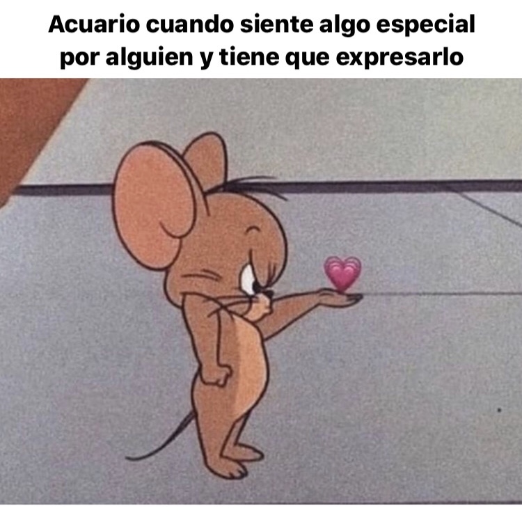 acuario_hn's tweet photo. 🤣🤣🤣 #acuario #horoscoponegro https://t.co/0ZXMalDOpt