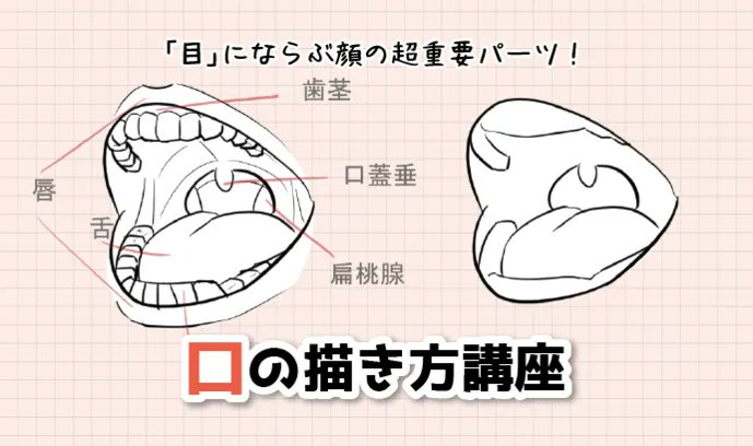 ichiup_net's tweet photo. 「目」にならぶ顔の超重要パーツ！ 口の描き方講座

人によって描き方やデフォルメの仕方に幅がある「口」
構造を覚えて思い通りの口をデザインしましょう！😄 

https://t.co/30gSmQ1VCy
#絵が上手くなる記事はコレ https://t.co/4MRfbpBQXw