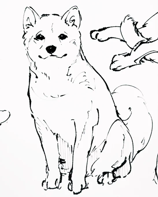 🐶🦜 