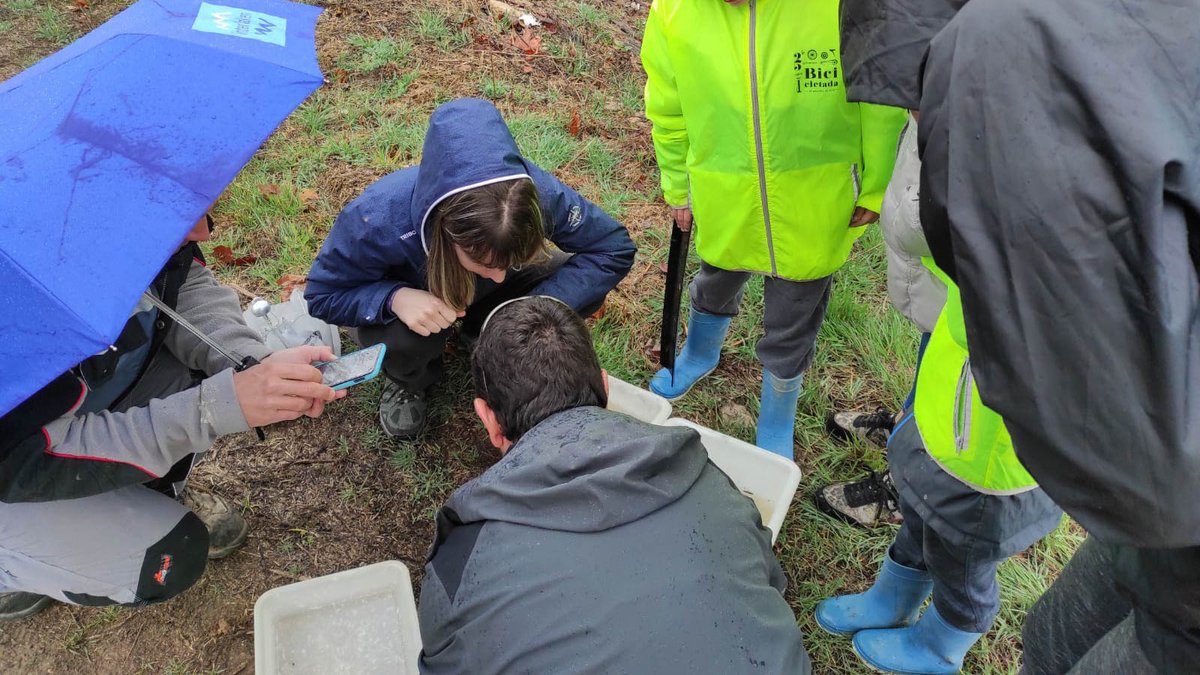 GESNA, Estudis Ambientals tweet media