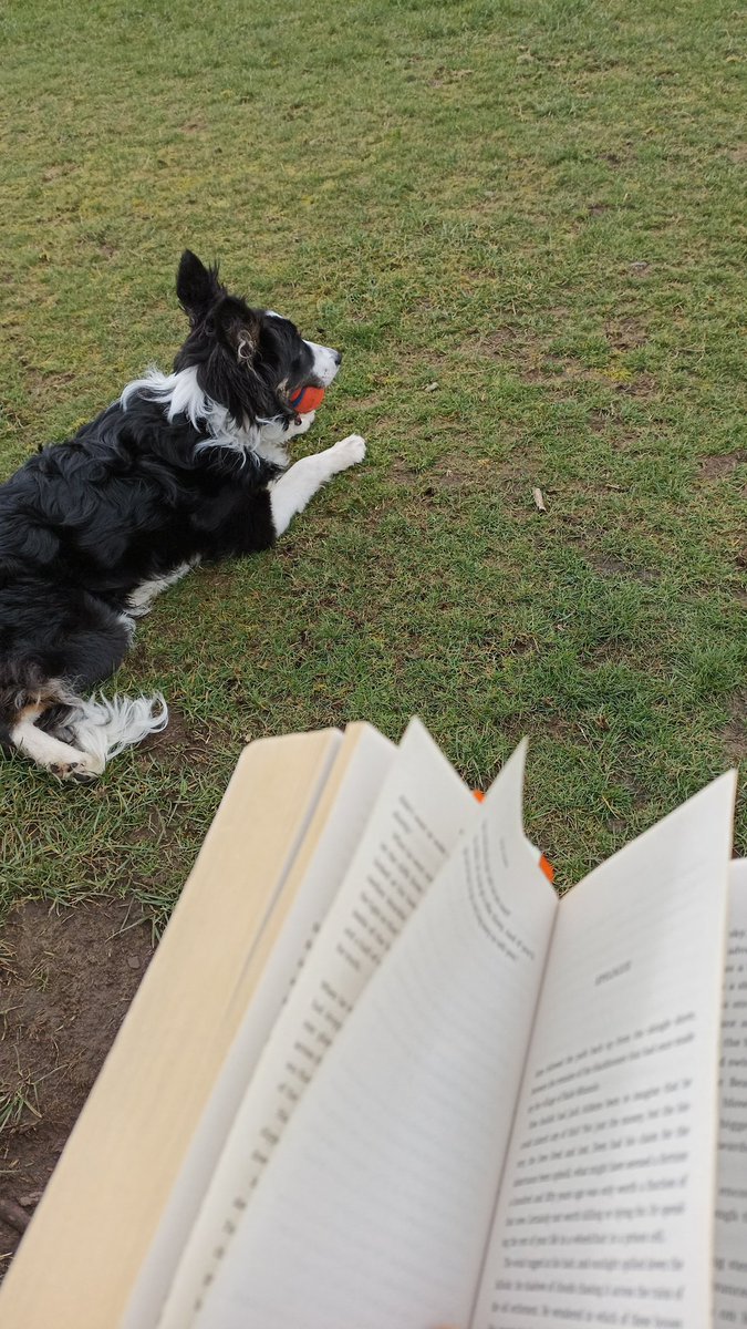 Alejandro Gutierrez tweet media