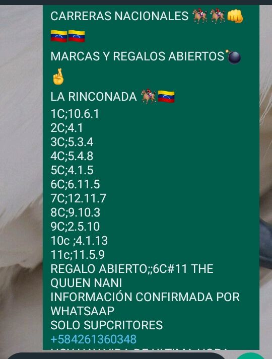 Franklinizzio's tweet photo. @AGENCIAKOKONELL
@DEnmascarado
@ARodriguezVera
@almadelhipismo 
@m_estiben 
@Angel17561 
@CaribePalma
@enriquegonzal84
@jeanmaire280285 
@EvonySolorzano
@thekingnba1980
@marrpacheco
@radiohipico1
@ELLOCOHIPICO2 https://t.co/Ry7uimHu03