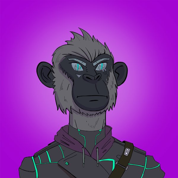 Phoenix Crypto 🐦🔥 (@phoenixcrypto7) on Twitter photo Recruited a few apes. 🔥🔥 <a href="/TokyoApes/">TOKYO APES FREE MINT</a>
#NFT #NFTs #NFTArt #NFTMarketplace #nftcollector #NFTdrop #NFTCommunity Recruited a few apes. 🔥🔥 <a href="/TokyoApes/">TOKYO APES FREE MINT</a>
#NFT #NFTs #NFTArt #NFTMarketplace #nftcollector #NFTdrop #NFTCommunity
