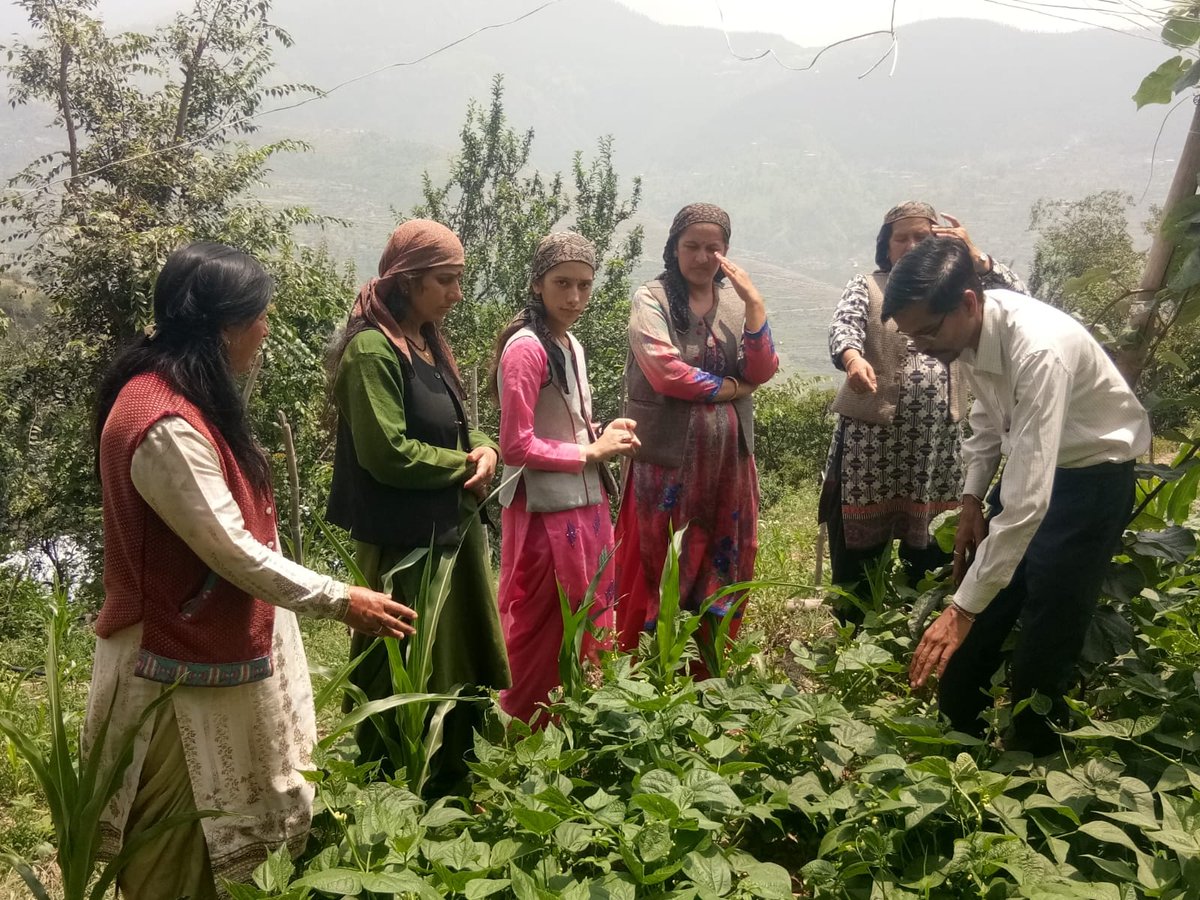 ians_india's tweet photo. #Himachal women farmers scripting success, natural way

Read: https://t.co/NErKYNFww7 https://t.co/baRDlOG1kl