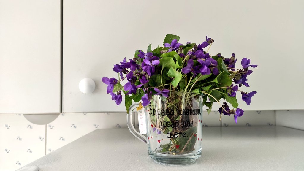 bbungin's tweet image. Zdravo svanuli, dobar dan svete.:))