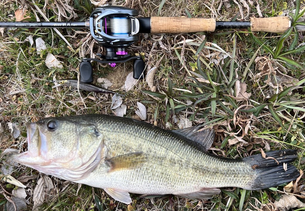 17タトゥーラsvtw Twitter Search Twitter 17タトゥーラsvtw Twitter Search Twitter