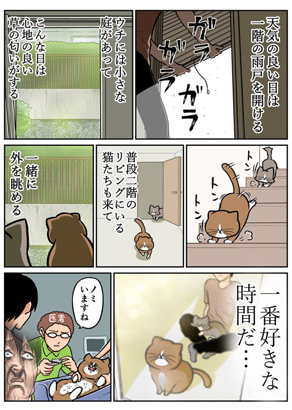 愛猫とスローライフを送る飼い主 オチに「泣いた」「笑って腹が痛い」 https://t.co/sxqWd1VM9E @grapeejpより 