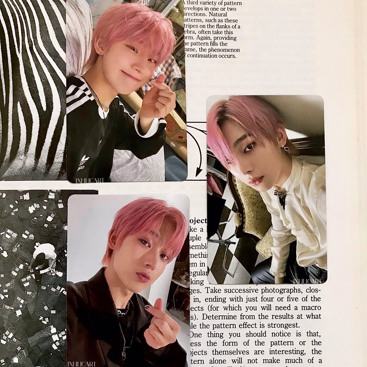 jxnlicart's tweet photo. 💌

@yunwincart 

hi win, sunoo came home ♡! tysm for packing him securely and for the cute freebies ^^

[ #fromween ; #elamail ] https://t.co/6NkM5AdBHT