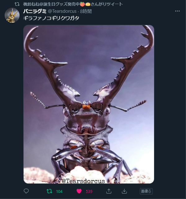 ノコギリクワガタのtwitterイラスト検索結果