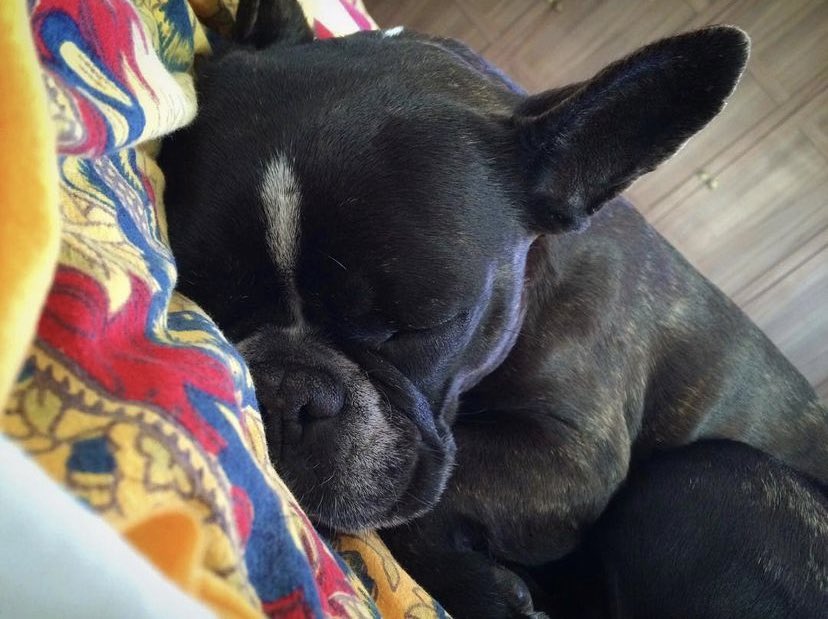 k o r a h tweet media