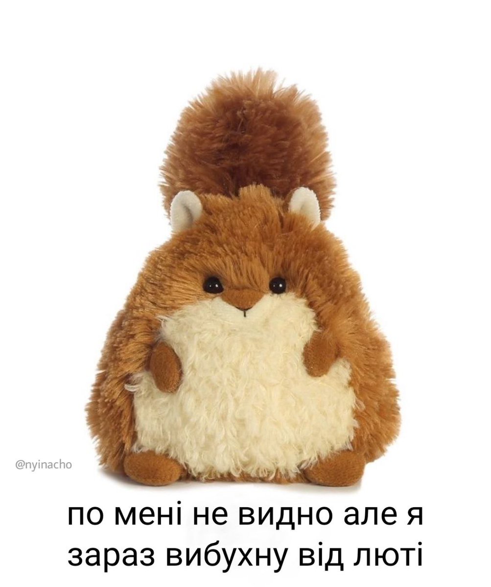 Пухлая белка