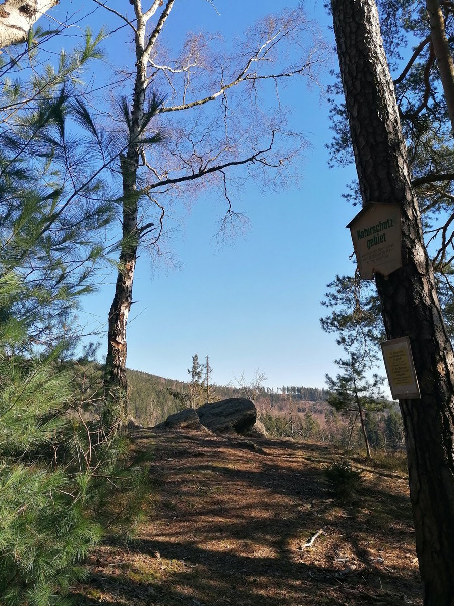 LostAngel2016's tweet photo. “I go to #nature to be soothed and healed and to have my senses put in order.” ~ John Burroughs 

#photography #SelfCare #mindfulness #MS #CPTSD #depression #anxiety #PNES #introvert #MentalHealth #SuicidePrevention #SickNotWeak #KeepTalkingMH @josephinewachu @davinalytle https://t.co/Czrzn3wGlw