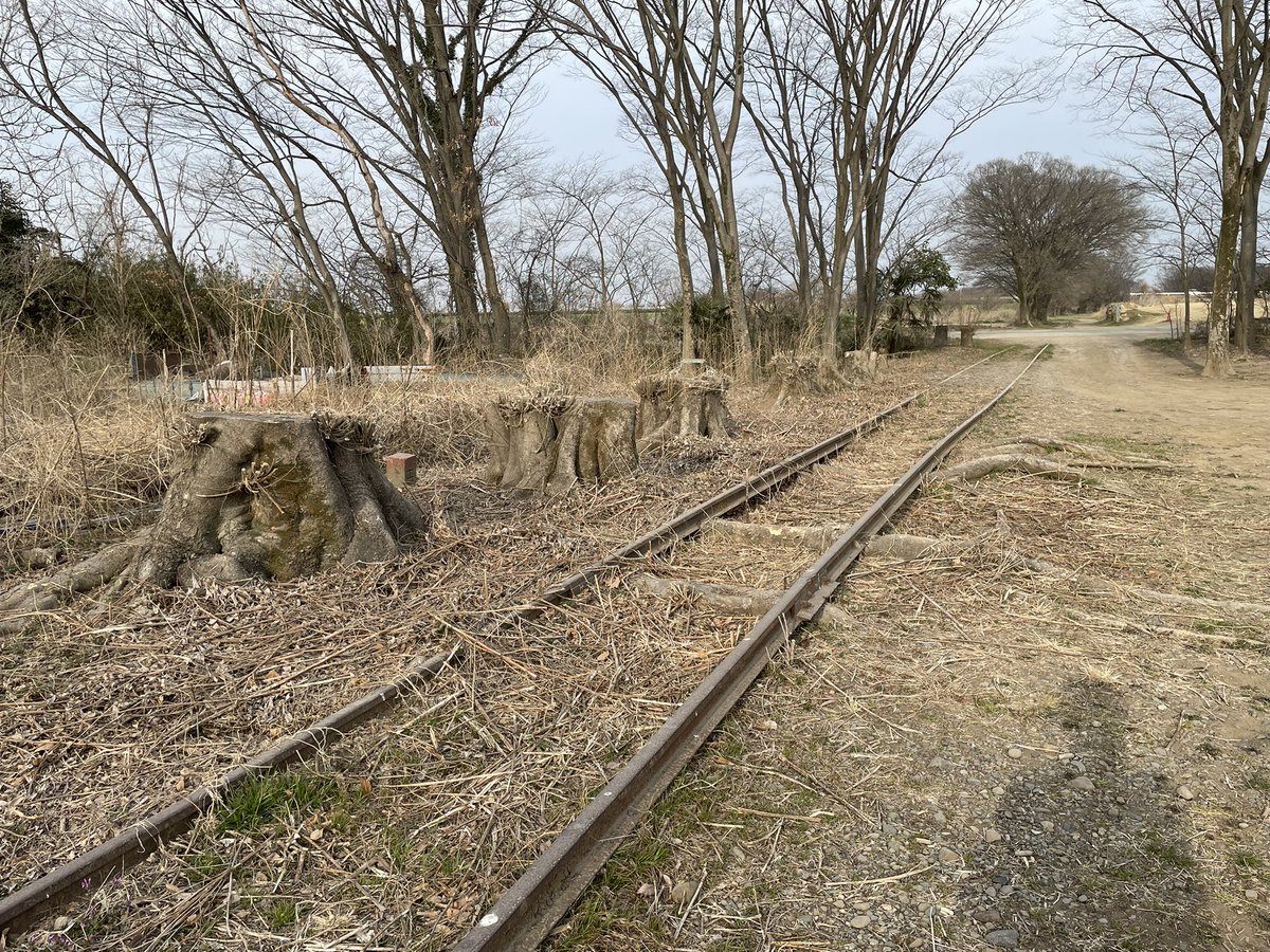 kuriharakageri's tweet photo. 西武安比奈線跡、安比奈駅跡入口の入間川河川敷にあった木が伐採されてしまった。悲しい。
#西武安比奈線
#折りたたみ自転車
#Light8 https://t.co/YkdygOkPKc