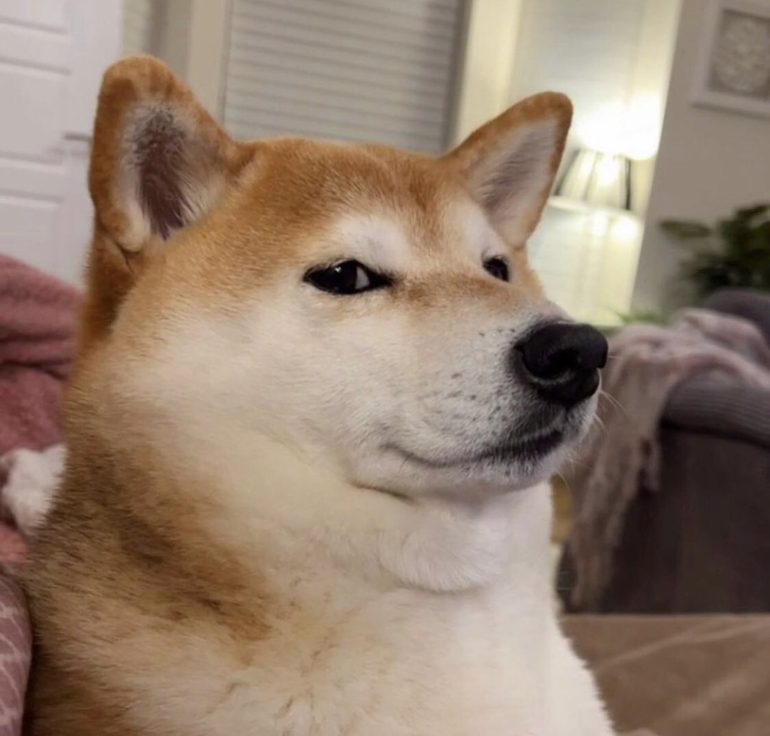 drilldoge's tweet photo. Me: Watching the market has no move… https://t.co/tIDBF6MMfP