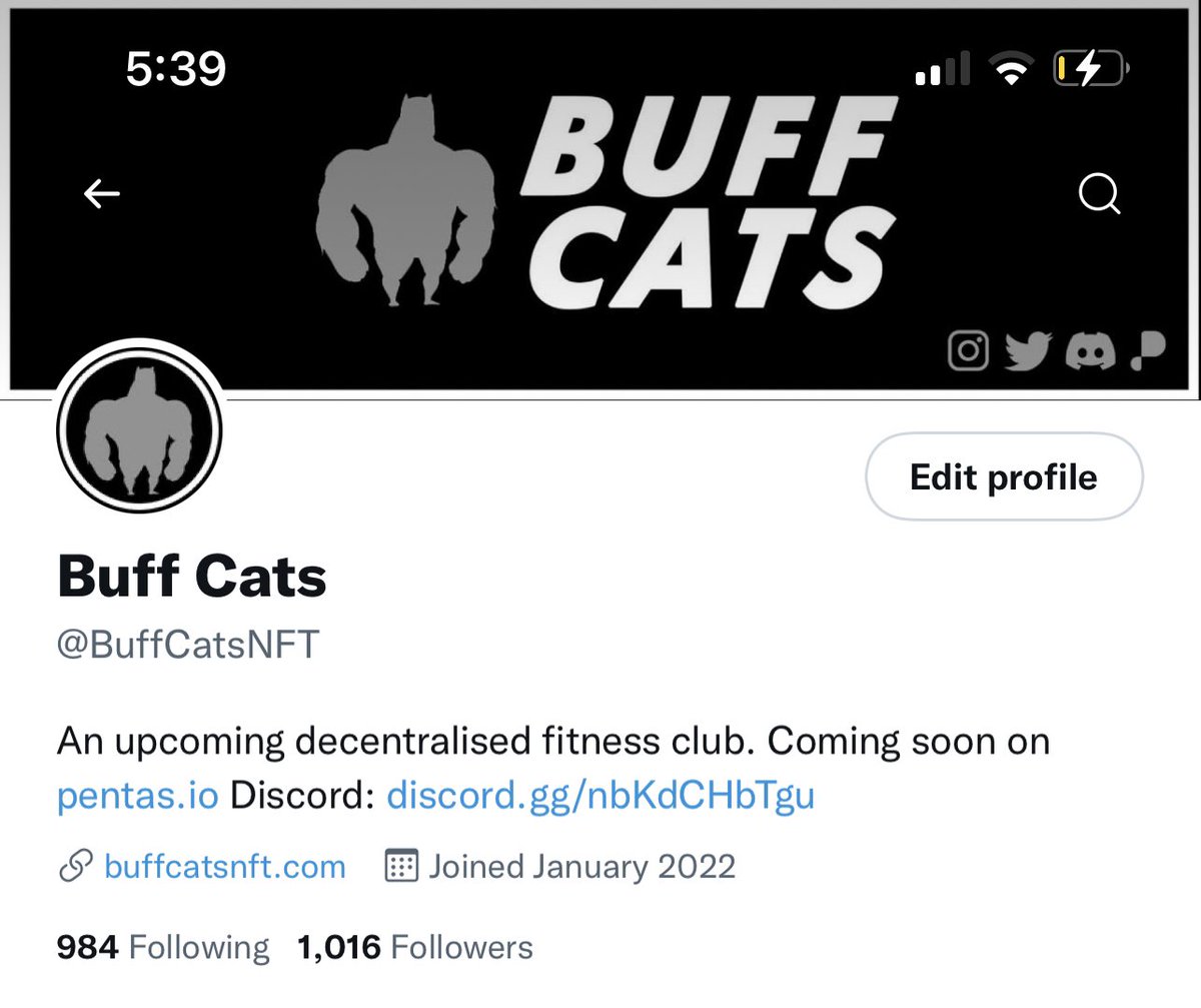 Buff Cats tweet media