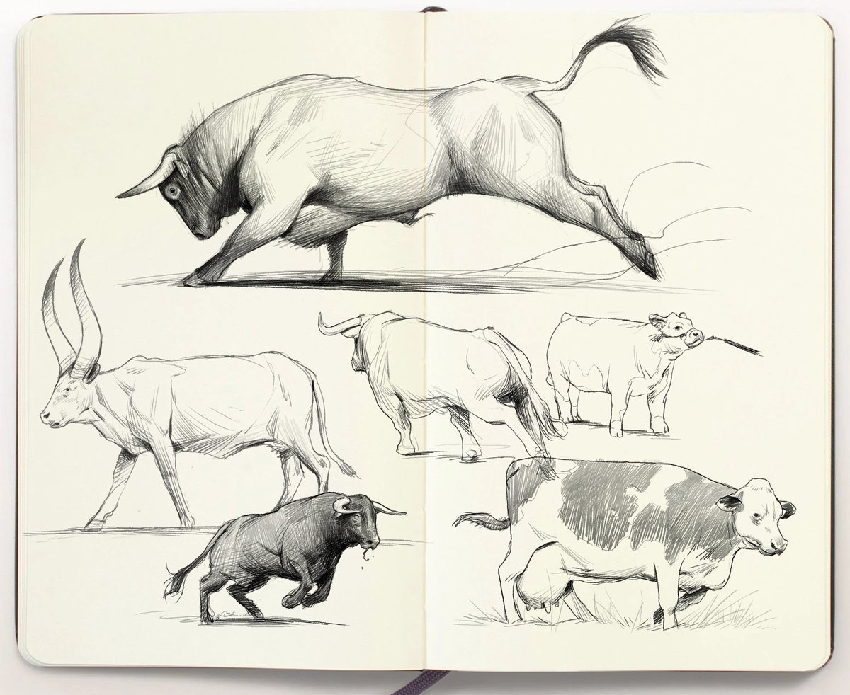 Some ruminants 
