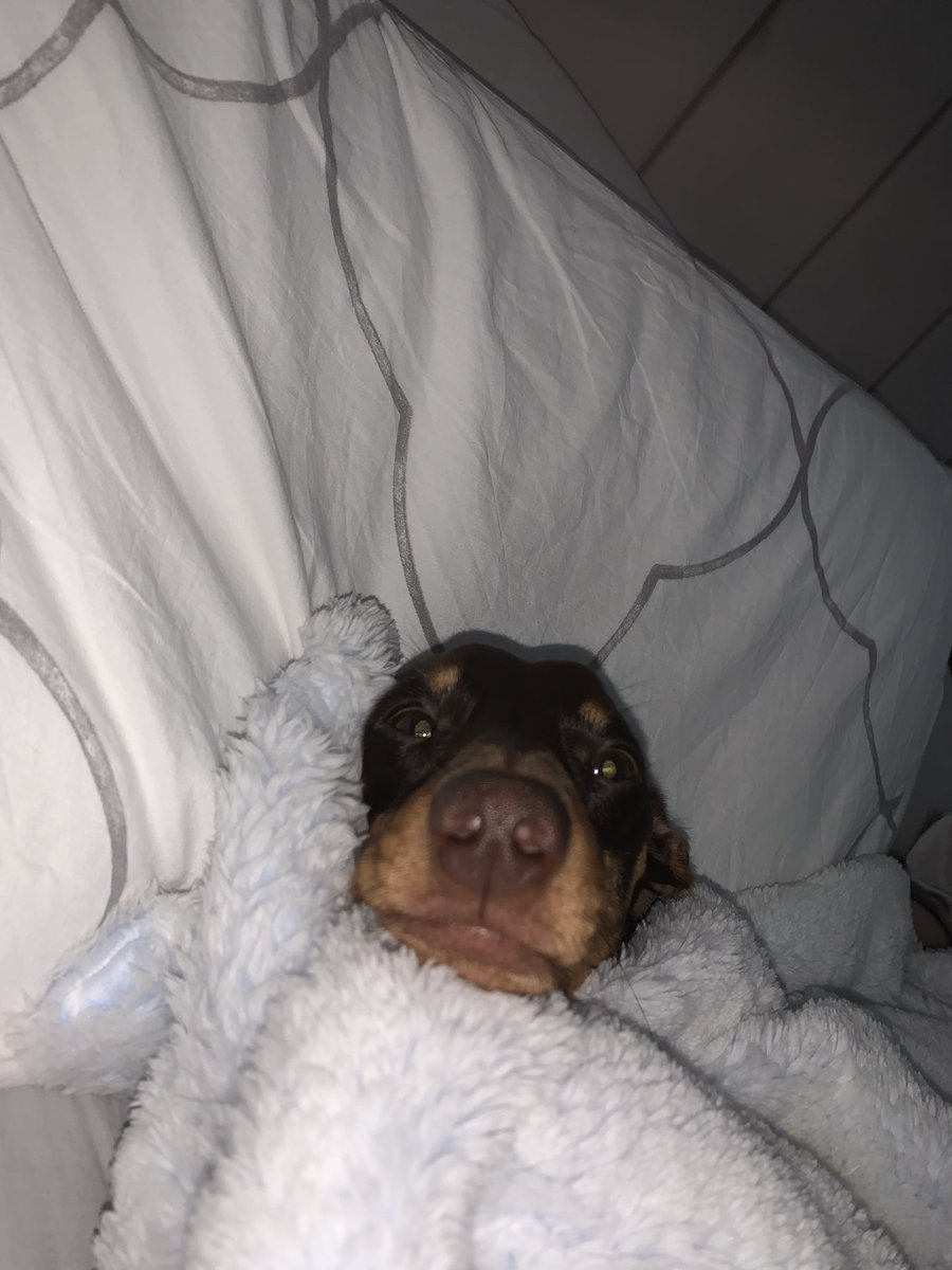He told me it’s too cold to get out of bed