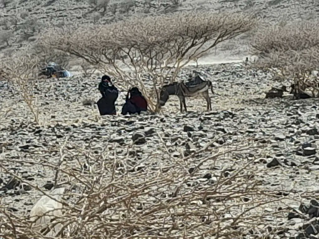 IbnTayib's tweet image. #afar_under_attack 
#AfarMassacre 
#AfarIsBleeding  by Tplf Terrorist group