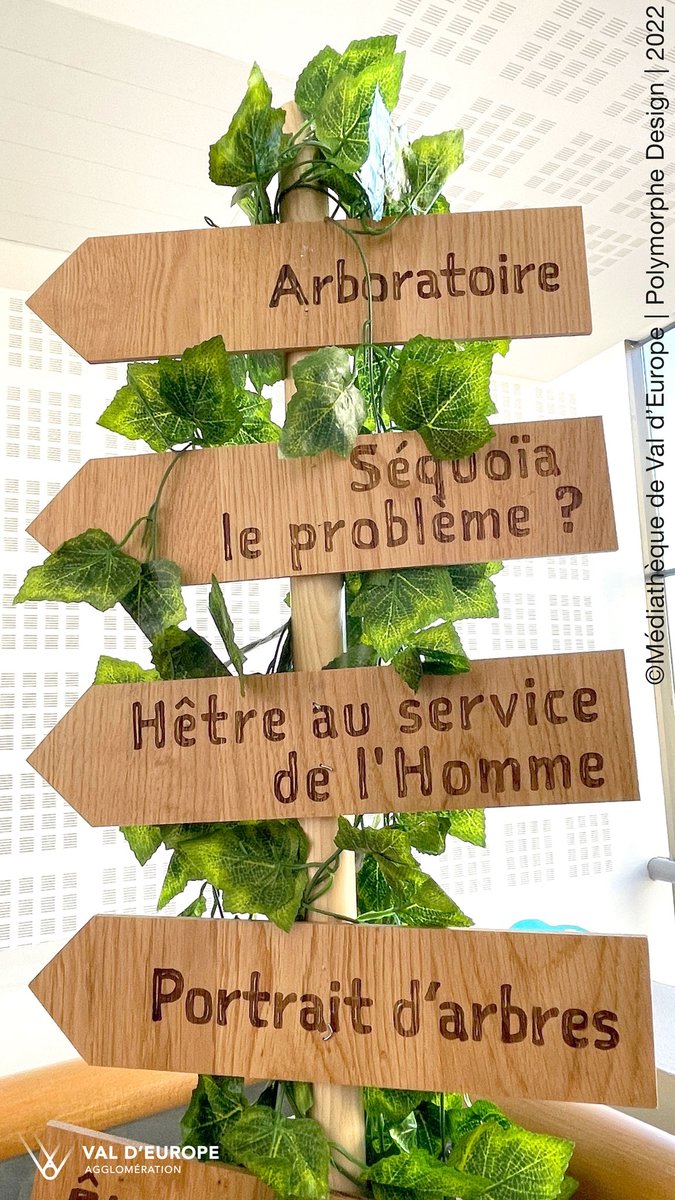 polymorphemaud's tweet photo. Polymorphe Design plante une #forêt à la #médiathèque de Val d'Europe ! ... avec une mise en scène des collections sur le thème de l'#arbre. Savez-vous qu'il soigne, protège, abrite, nourrit ? Avec vos 5 sens, découvrez combien l'arbre est présent dans notre quotidien. https://t.co/hJg2qCYfuQ