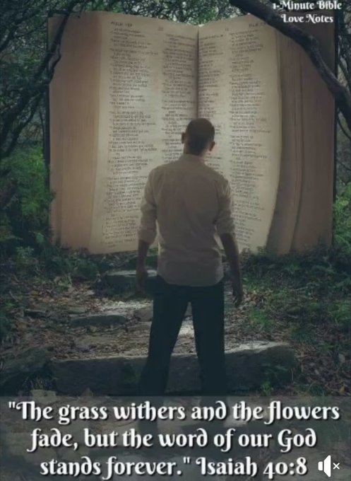 Morning loves ♥️🌹
"The grass withers and the flowers fade,but the word of God stands forever"
Isaiah 40:8