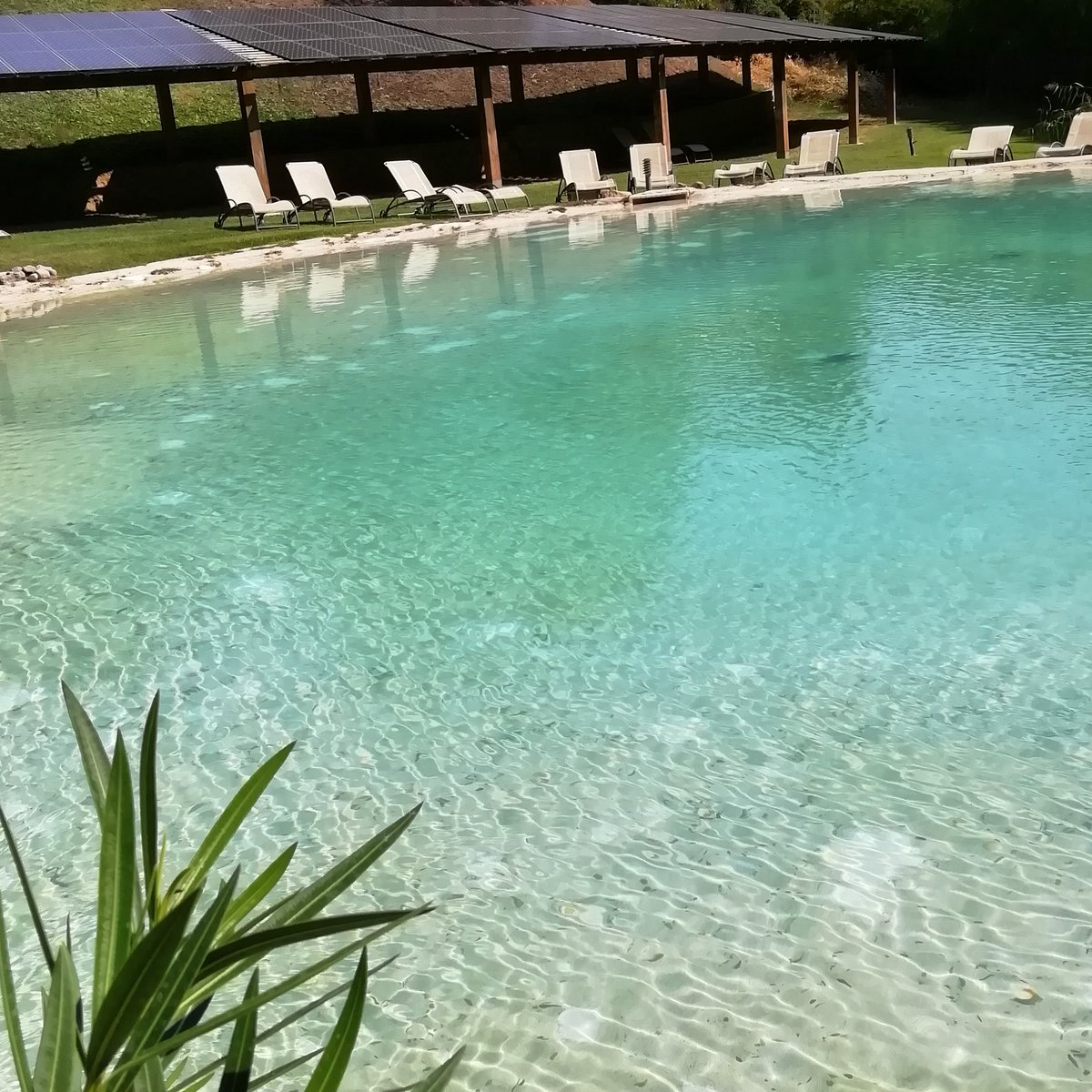 LebbianoResiden's tweet photo. Voglia di Relax? Allora @LebbianoResiden è la soluzione ideale!!! #domenica #buongiorno #goodmorning #piscina #pool #colori #relax #break #pausa #azzurro #colors #green #verde #benessere #wellness #vacanza #holiday #weekend #finesettimana #sempreaperti #firenze #toscana #foto https://t.co/SSlel66YcR