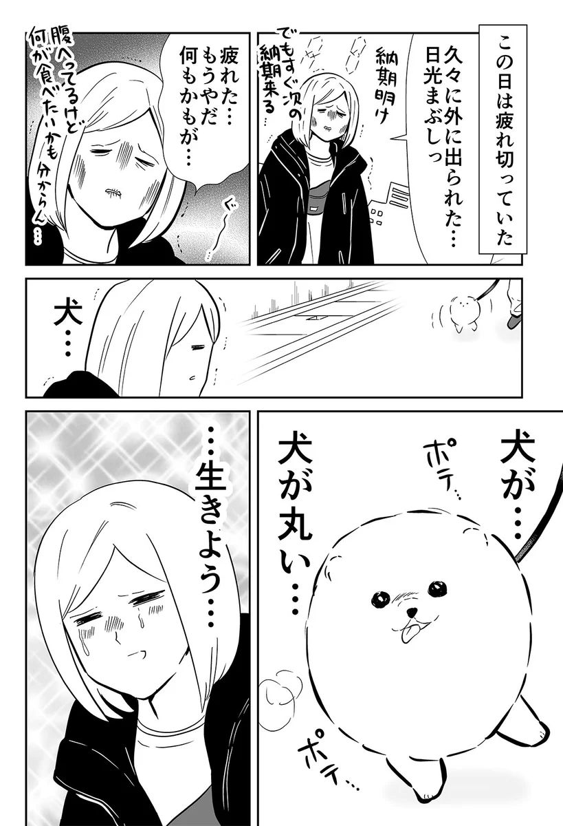 凄く元気がなかった時に？生きようと思えた犬の姿www