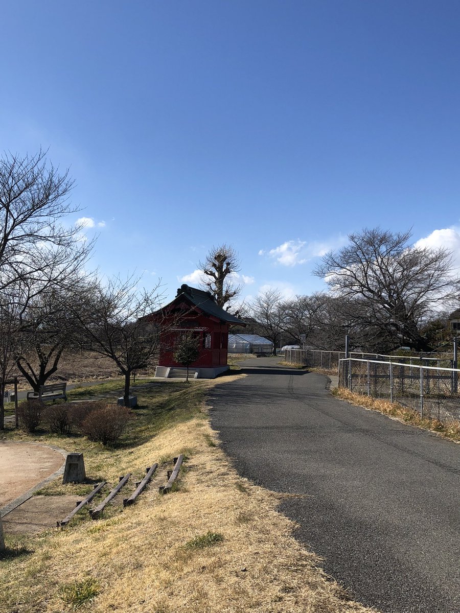 Minniejp's tweet photo. 今年も始まりました！みんなゴミを捨てないで！

#見沼桜サポ
#見沼田んぼ桜回廊サポーター
#さいたま市
#見沼田んぼ 
#見沼桜回廊
#西山新田
#西縁 #東縁 #見沼ヘルシーロード 
#ヘルシーロード https://t.co/WZU3O0Z7KK