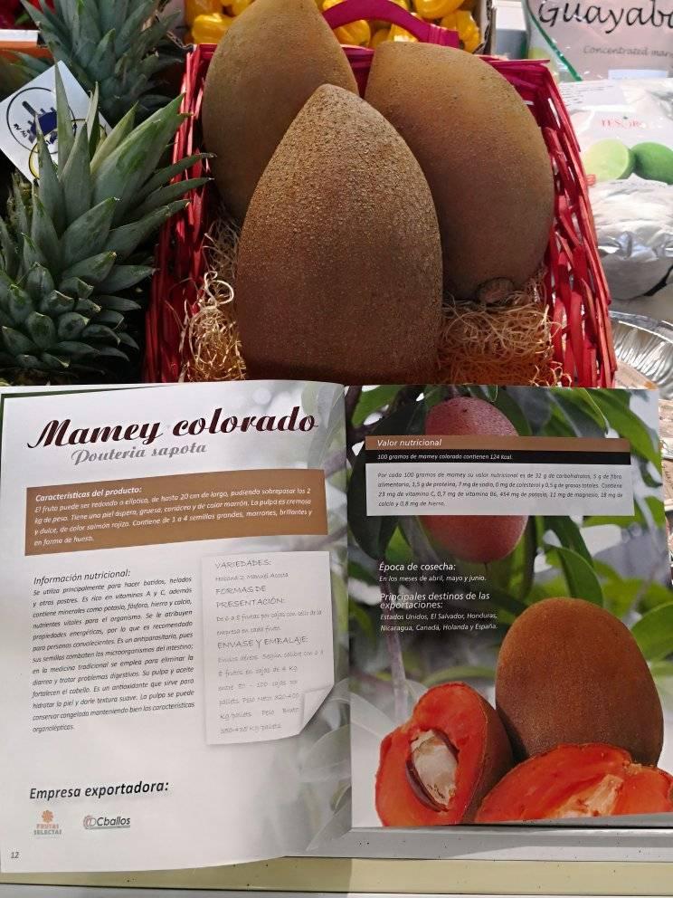 MirtaGranda's tweet photo. #Cuba confirma su presencia en #Macfrut2022

@MINCEX_CUBA @Camara_Comercio @pro_cuba 
👉https://t.co/e61Iou49Ab https://t.co/ToFdOHChE1