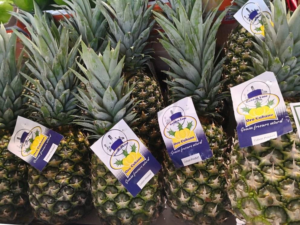 MirtaGranda's tweet photo. #Cuba confirma su presencia en #Macfrut2022

@MINCEX_CUBA @Camara_Comercio @pro_cuba 
👉https://t.co/e61Iou49Ab https://t.co/ToFdOHChE1