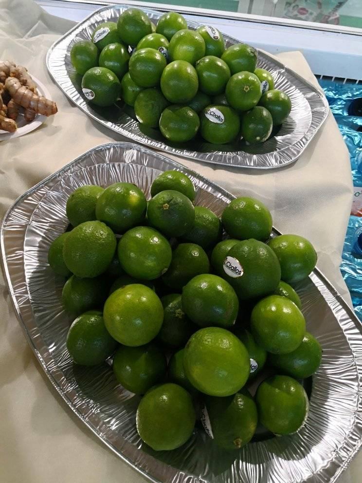 #Cuba confirma su presencia en #Macfrut2022

<a href="/MINCEX_CUBA/">MINCEX🇨🇺</a> <a href="/Camara_Comercio/">Cámara de Comercio de Cuba</a> <a href="/pro_cuba/">ProCuba</a> 
👉myfruit.it/eventi-fiere/2…