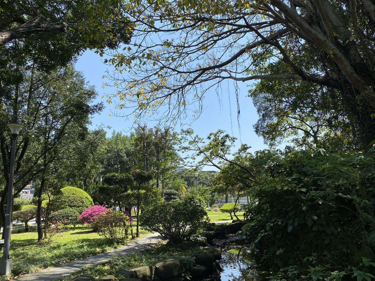 Ingrid Hsing tweet media