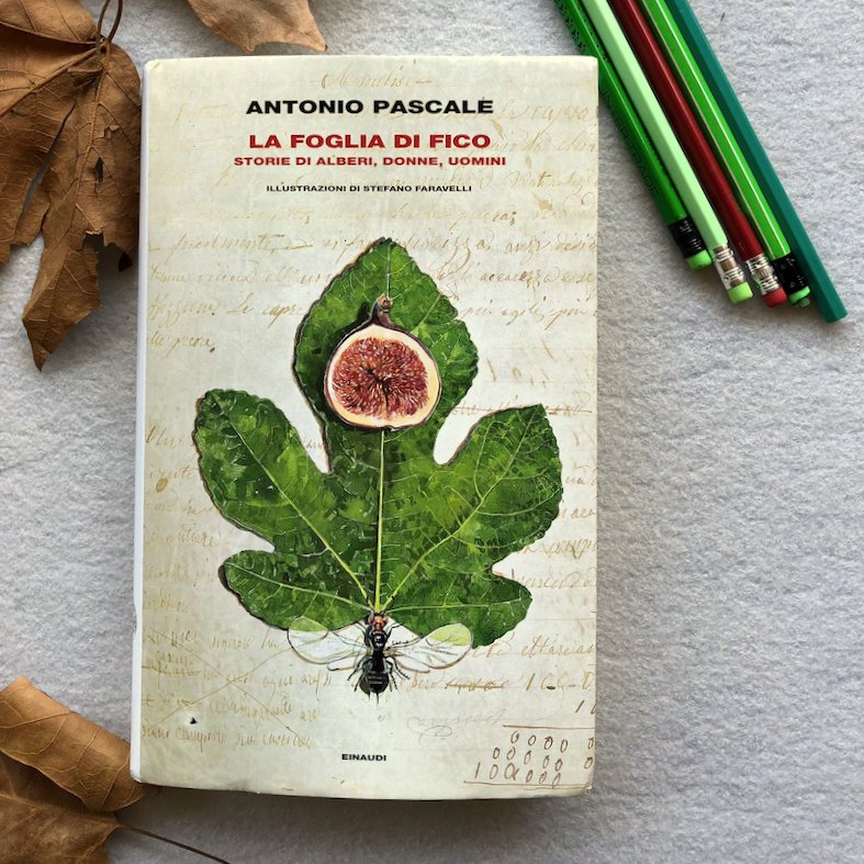 Se potete, leggete La foglia di fico di Antonio Pascale edito <a href="/einaudi/">Ian Berrido</a> al parco, seduti sull'erba, sotto un albero, a contatto con la natura.

Una lettura potente e salvifica che respira.

Le mie riflessioni su <a href="/SoloLibri/">SoloLibri 📚</a>  bit.ly/3w6Cacz

#13marzo #libri #einaudi