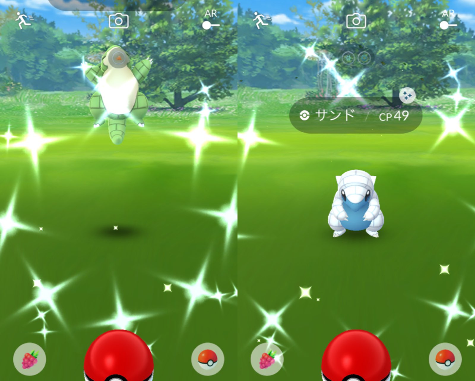 ポケgo図鑑オスメス埋めたい派 Pgo Hassam Twitter