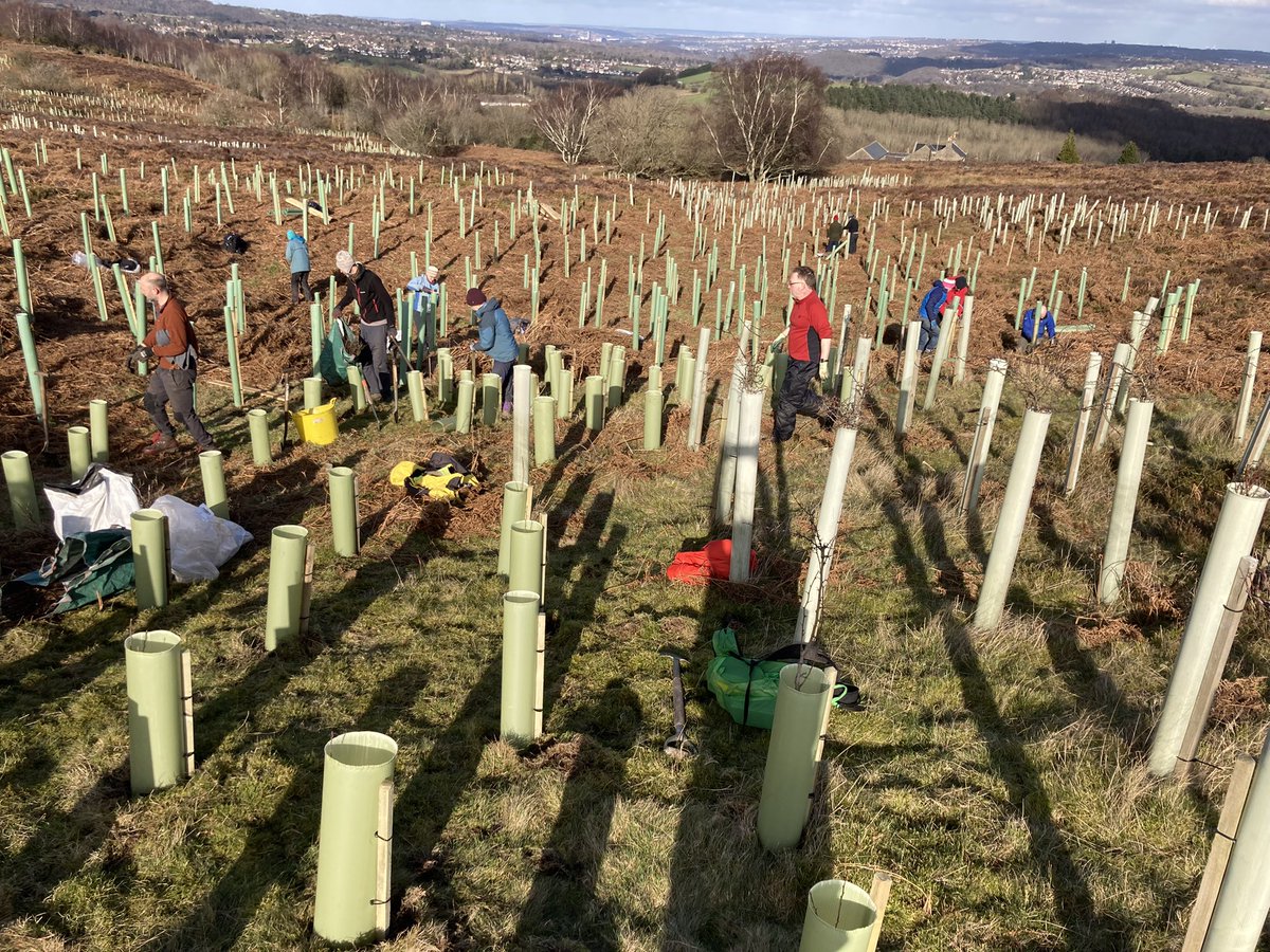 Cllr Peter Gilbert (@petergilbertuk) on Twitter photo This time next Sunday we’ll be planting as many trees as possible before heading to the premier of <a href="/TheFellingFilm/">The Felling Film - An Epic Tale of People Power</a>
Let’s see what % of the 5,500 trees chopped down we can replace
(Although a new tree cannot replace a mature street tree!)
Join us 9-12 🕘 contact me for details 💚 This time next Sunday we’ll be planting as many trees as possible before heading to the premier of <a href="/TheFellingFilm/">The Felling Film - An Epic Tale of People Power</a>
Let’s see what % of the 5,500 trees chopped down we can replace
(Although a new tree cannot replace a mature street tree!)
Join us 9-12 🕘 contact me for details 💚